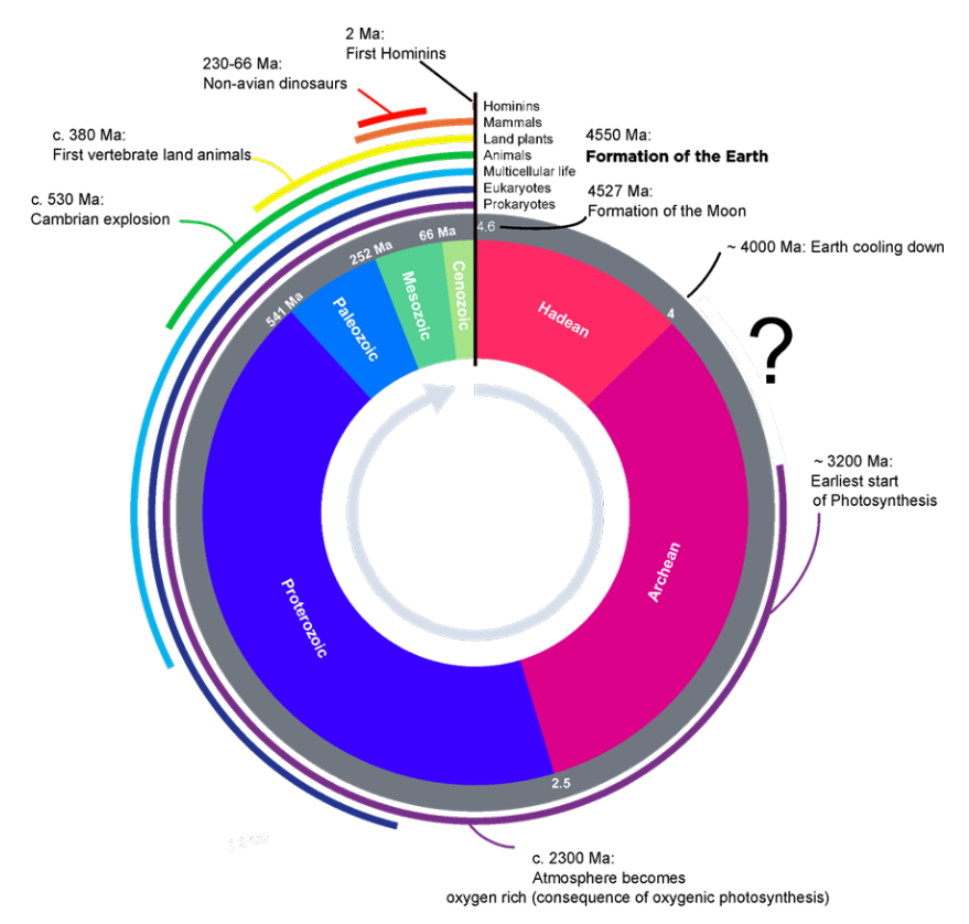 microbes-01-origin-eukaryotes